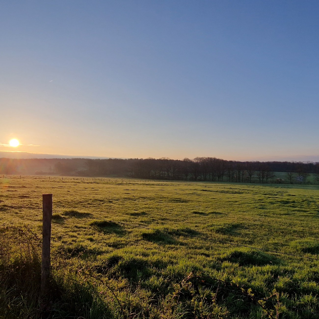 Free walk across a dreary plain