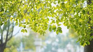 vikkiiiiiiiiiiiiiiii