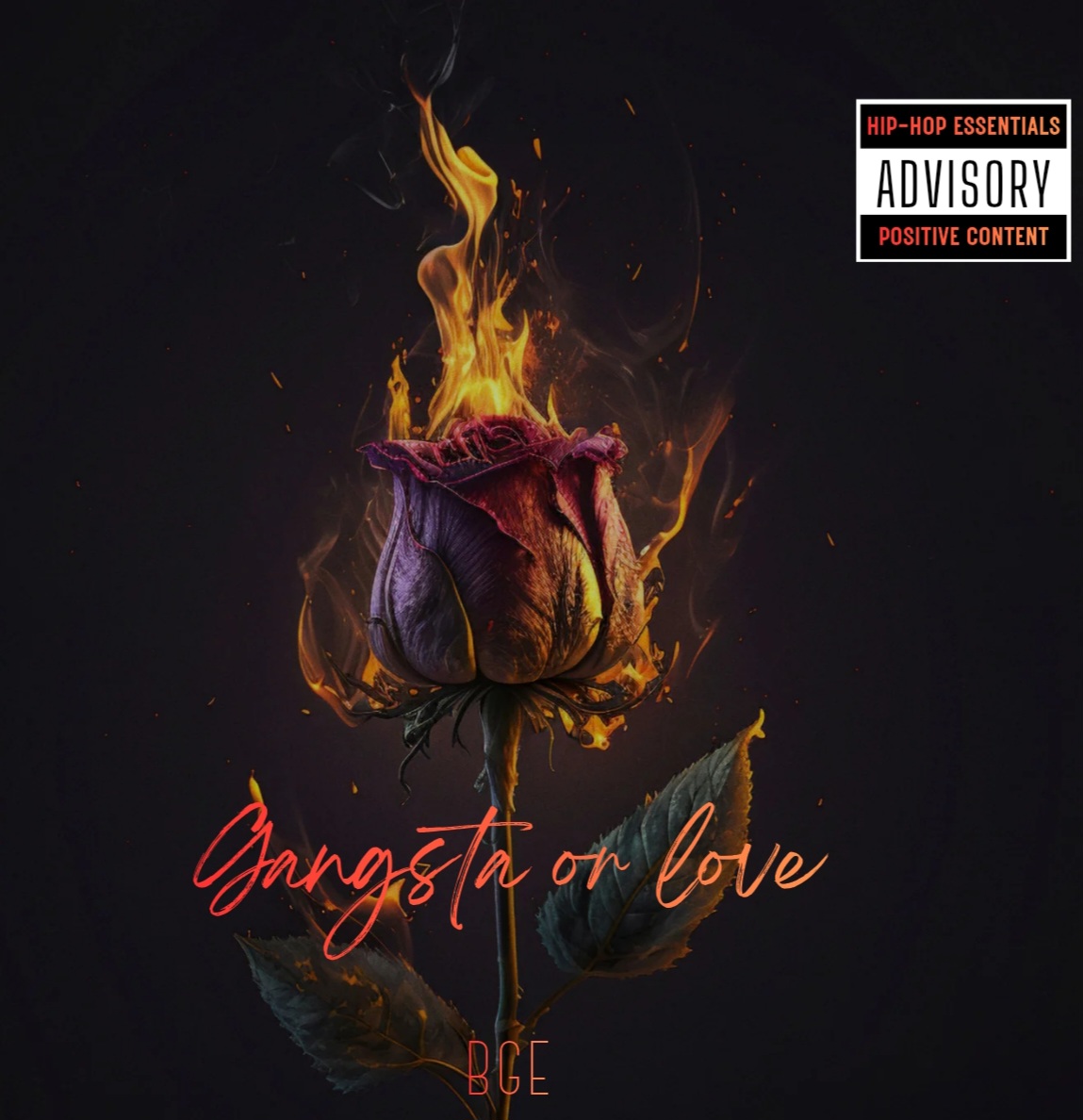 Fumée Et Goût Amaro