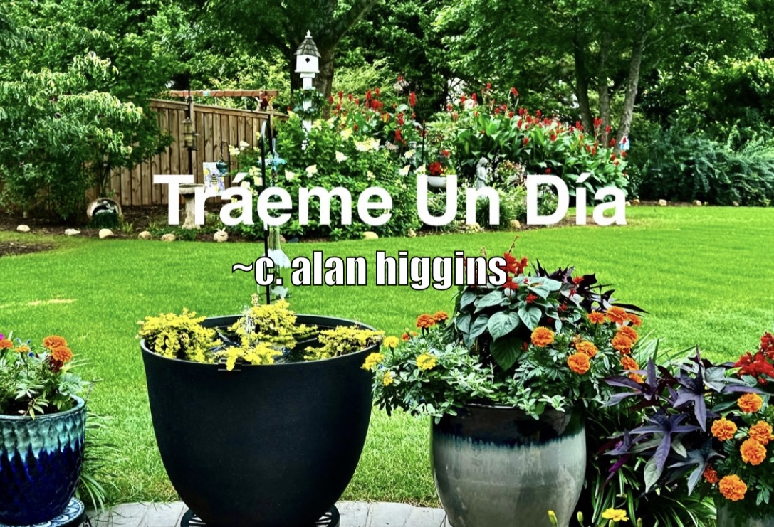 Tráeme Un Día