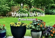 Tráeme Un Día